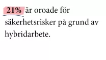 Säkerhetsrisker-fakta2
