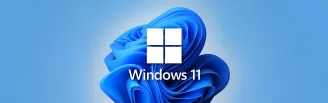 Windows 11 logo